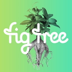 Fig Tree Digital - Growth through change