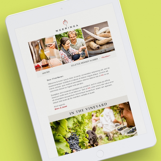 Email Marketing - Email Marketing ngeringa