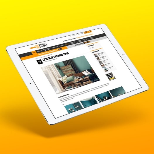 Graphic Design - Website Direct Paint